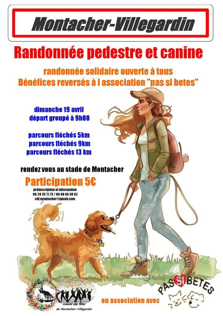 Randonnée pédestre