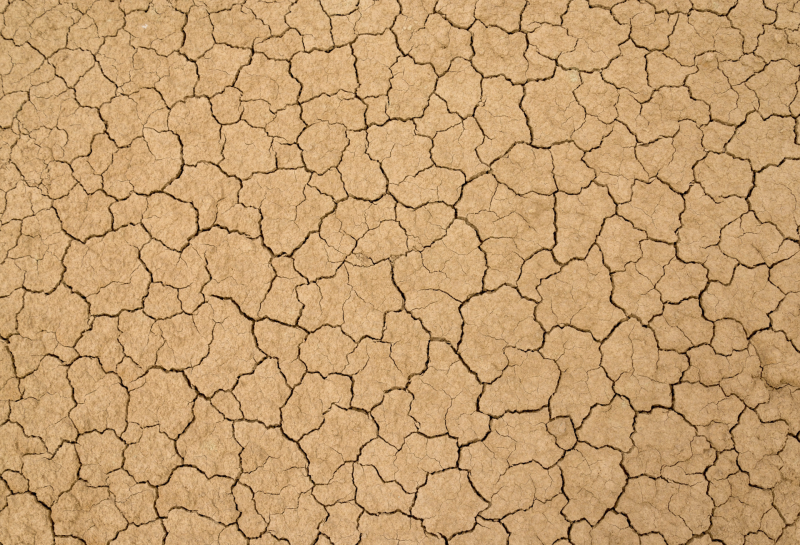 Fissures