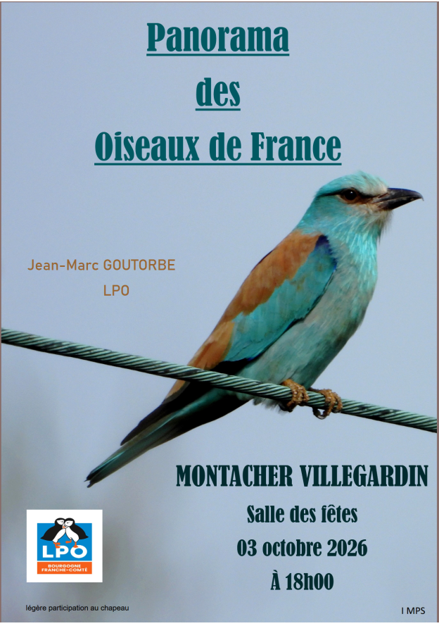 Film sur les oiseaux de France