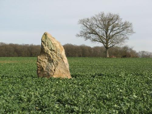 Le menhir "La Pierre Pointe"